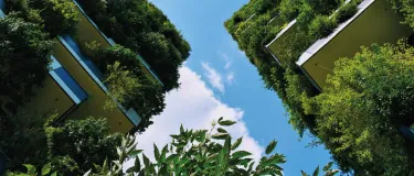 Nuestra Empresa-Enfoque Estrategico_Politica ambiental.jpg