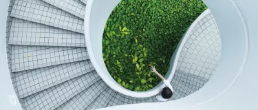 Politicia Comunicaciones.jpg