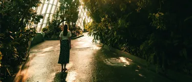 Sostenibilidad_Responsabilidad medioambiental.jpg