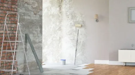 Línea de estucos, masillas y pinturas Tector | Holcim Colombia